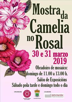 camelias rosal